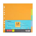 Economic index tab,11 holes, A4, 1-5, 5 tabs assorted